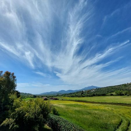 Agriturismo La Petrosa Ceraso ภายนอก รูปภาพ