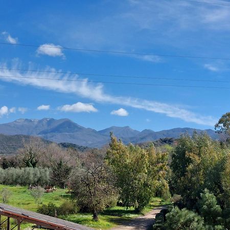 Agriturismo La Petrosa Ceraso ภายนอก รูปภาพ
