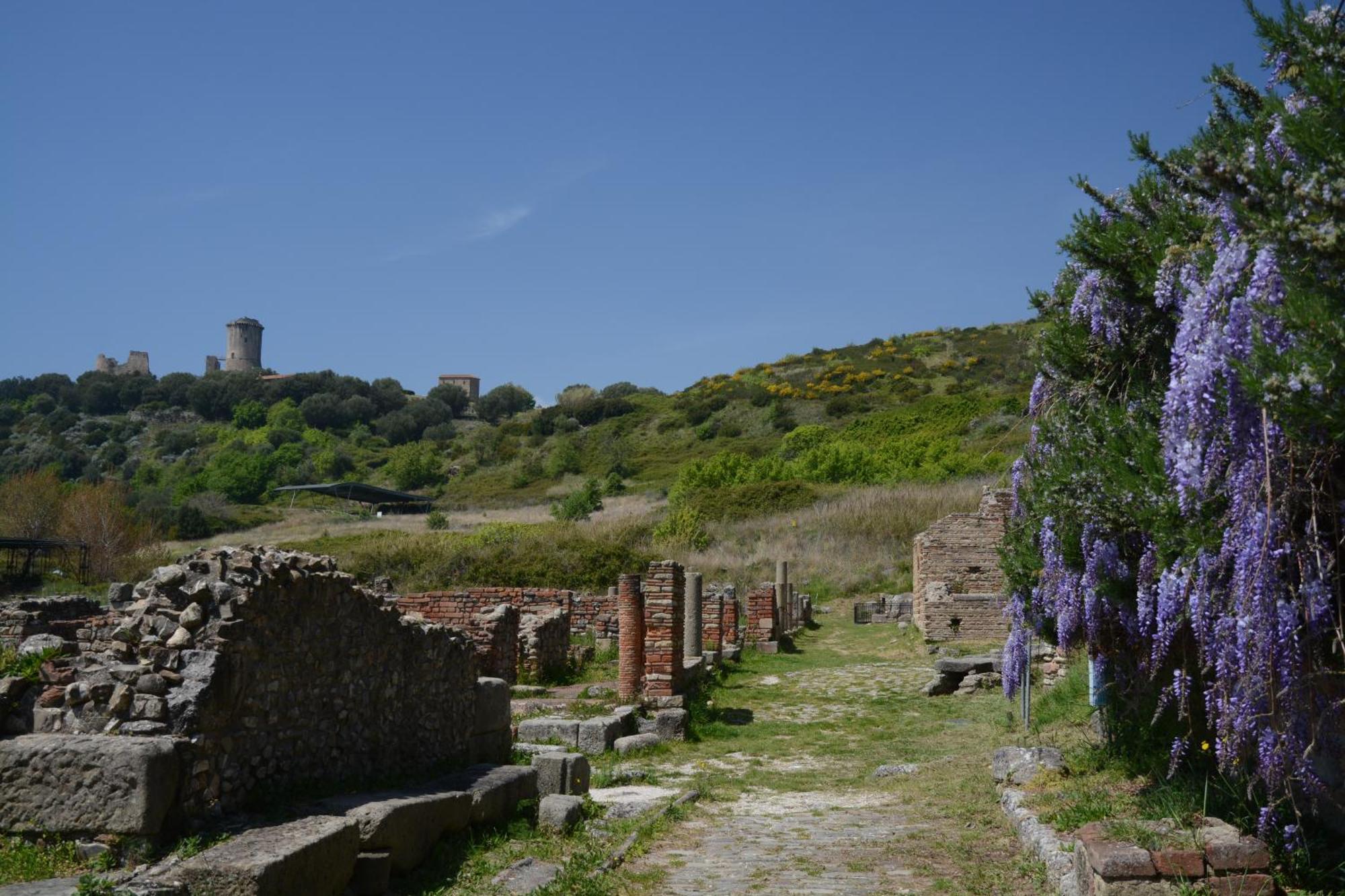 Agriturismo La Petrosa Ceraso ภายนอก รูปภาพ