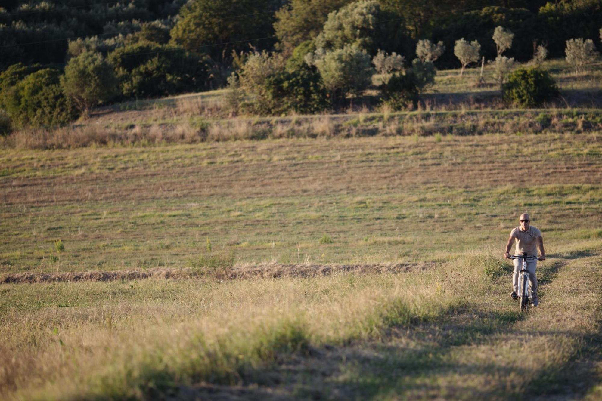 Agriturismo La Petrosa Ceraso ภายนอก รูปภาพ