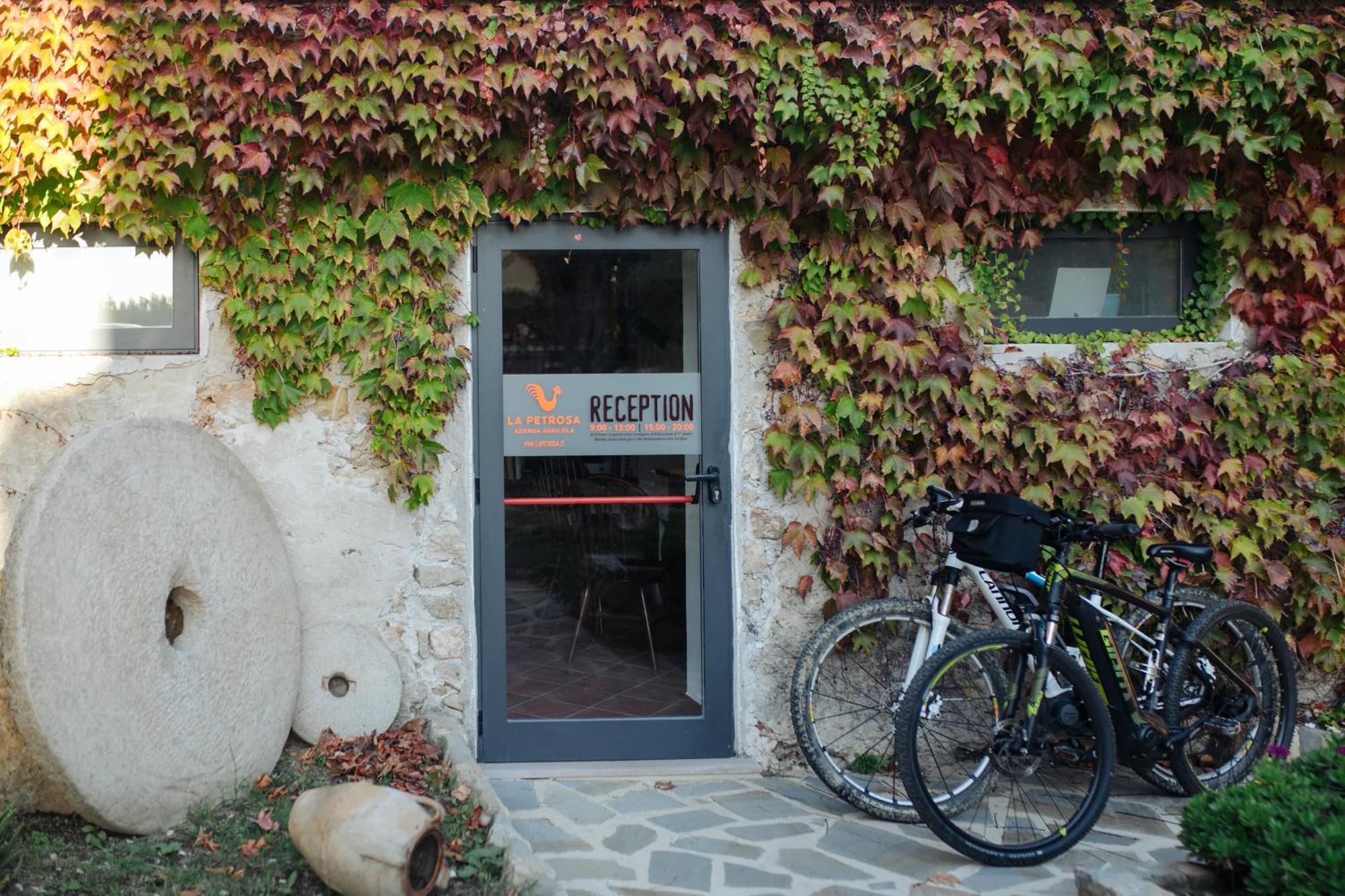 Agriturismo La Petrosa Ceraso ภายนอก รูปภาพ