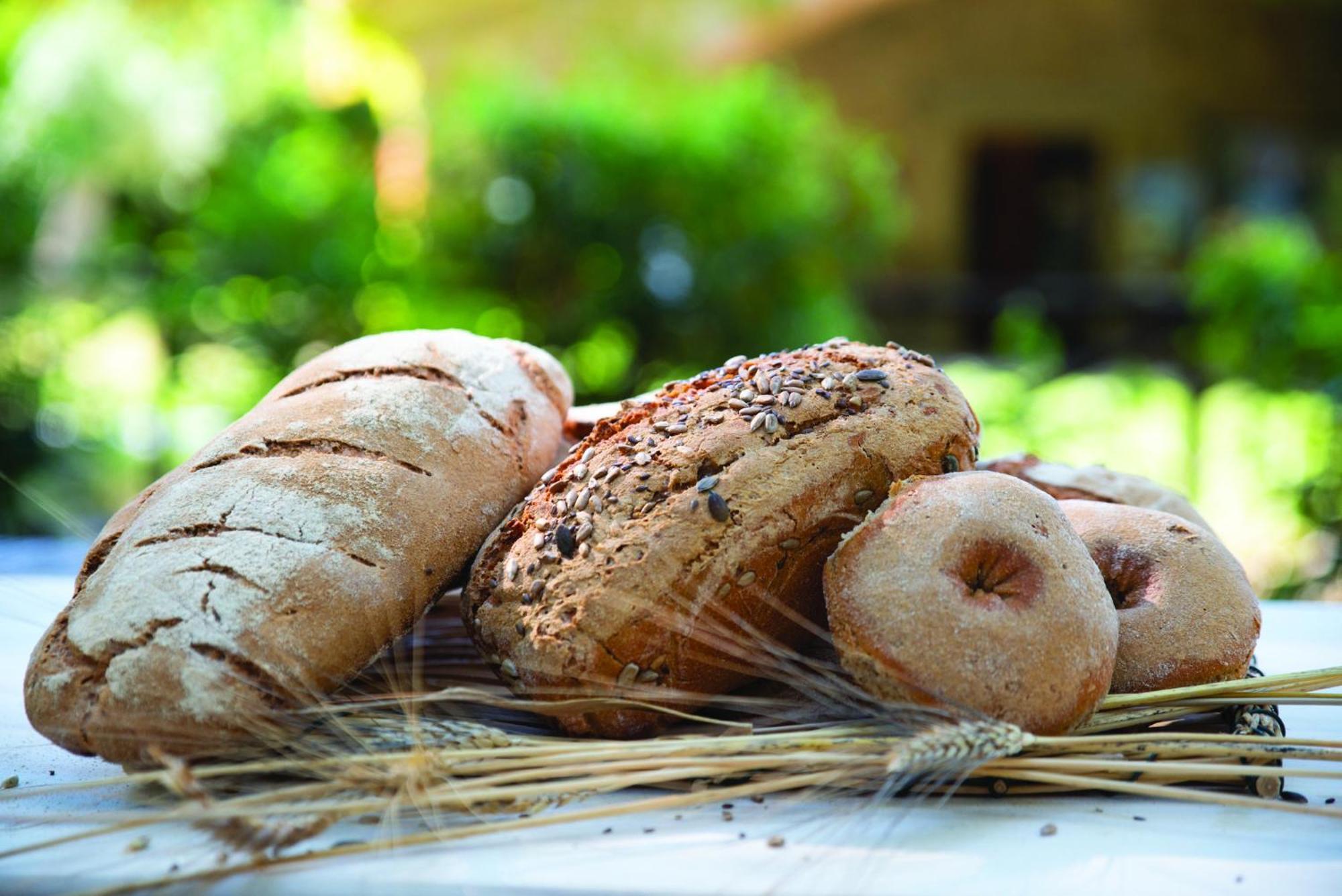 Agriturismo La Petrosa Ceraso ภายนอก รูปภาพ
