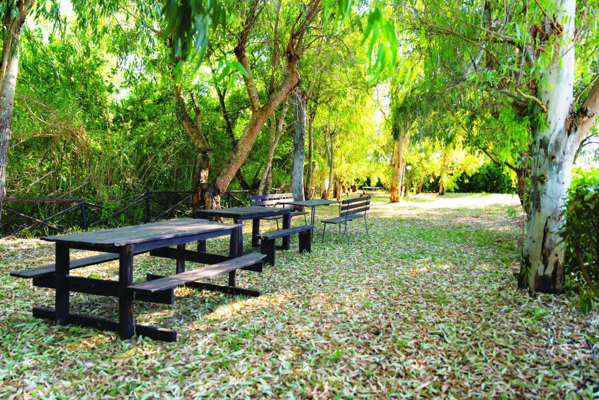 Agriturismo La Petrosa Ceraso ภายนอก รูปภาพ