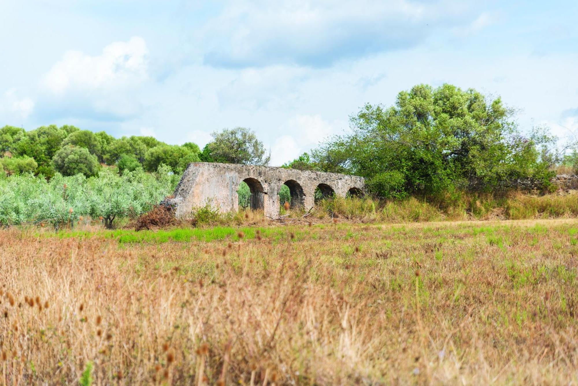 Agriturismo La Petrosa Ceraso ภายนอก รูปภาพ