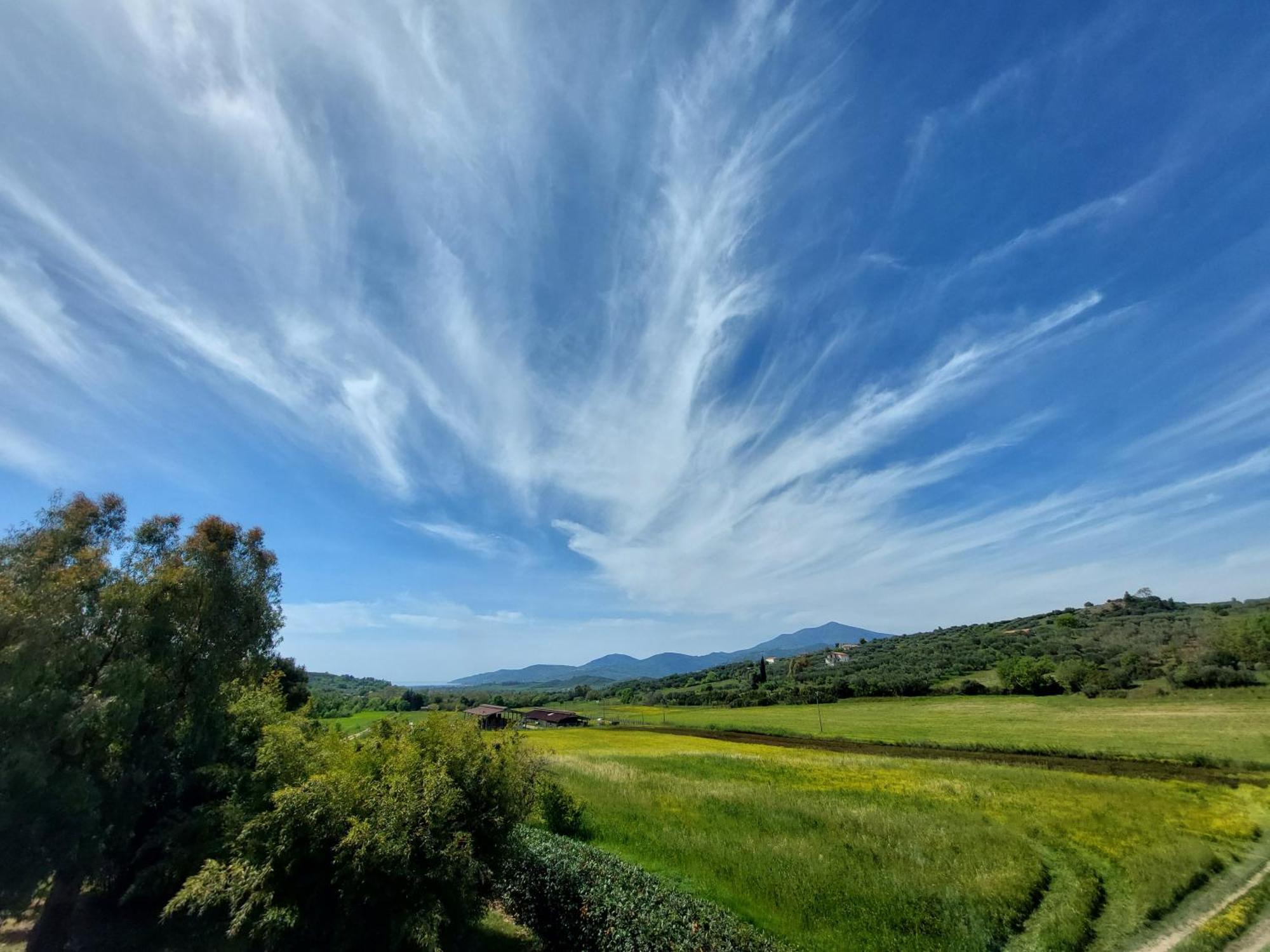 Agriturismo La Petrosa Ceraso ภายนอก รูปภาพ